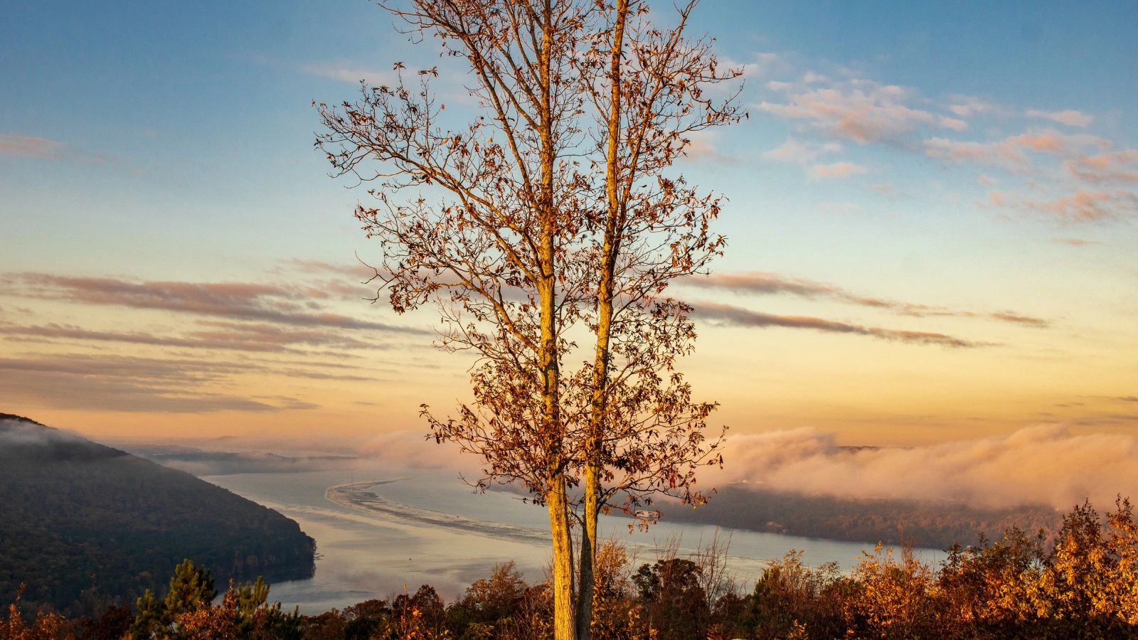 Honoring Departed Souls: 7 Heartfelt Reasons to Scatter Ashes